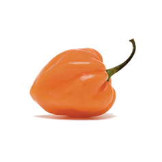 Citrus Habanero