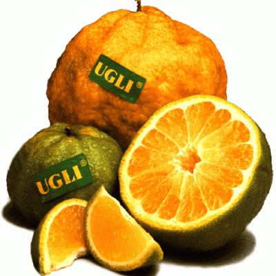 Ugli Fruit Balsamic Vinager