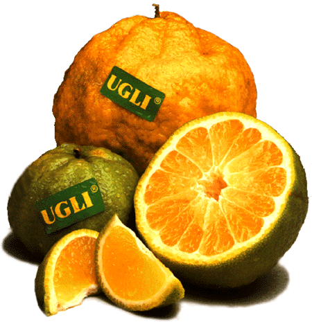 Ugli Fruit Balsamic Vinager