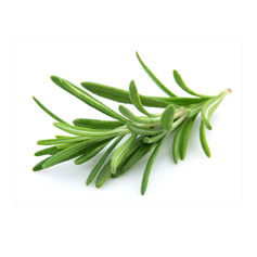 Tuscan Herb Olive Oil